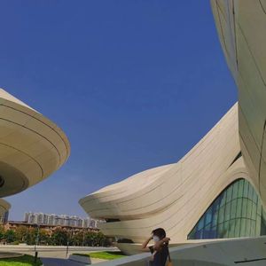 男生和女生女生在床上搓搓免费
